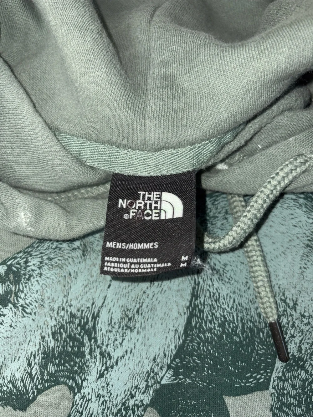 The North Face Men's Sage Green Bear Graphic Crewneck Hoodie